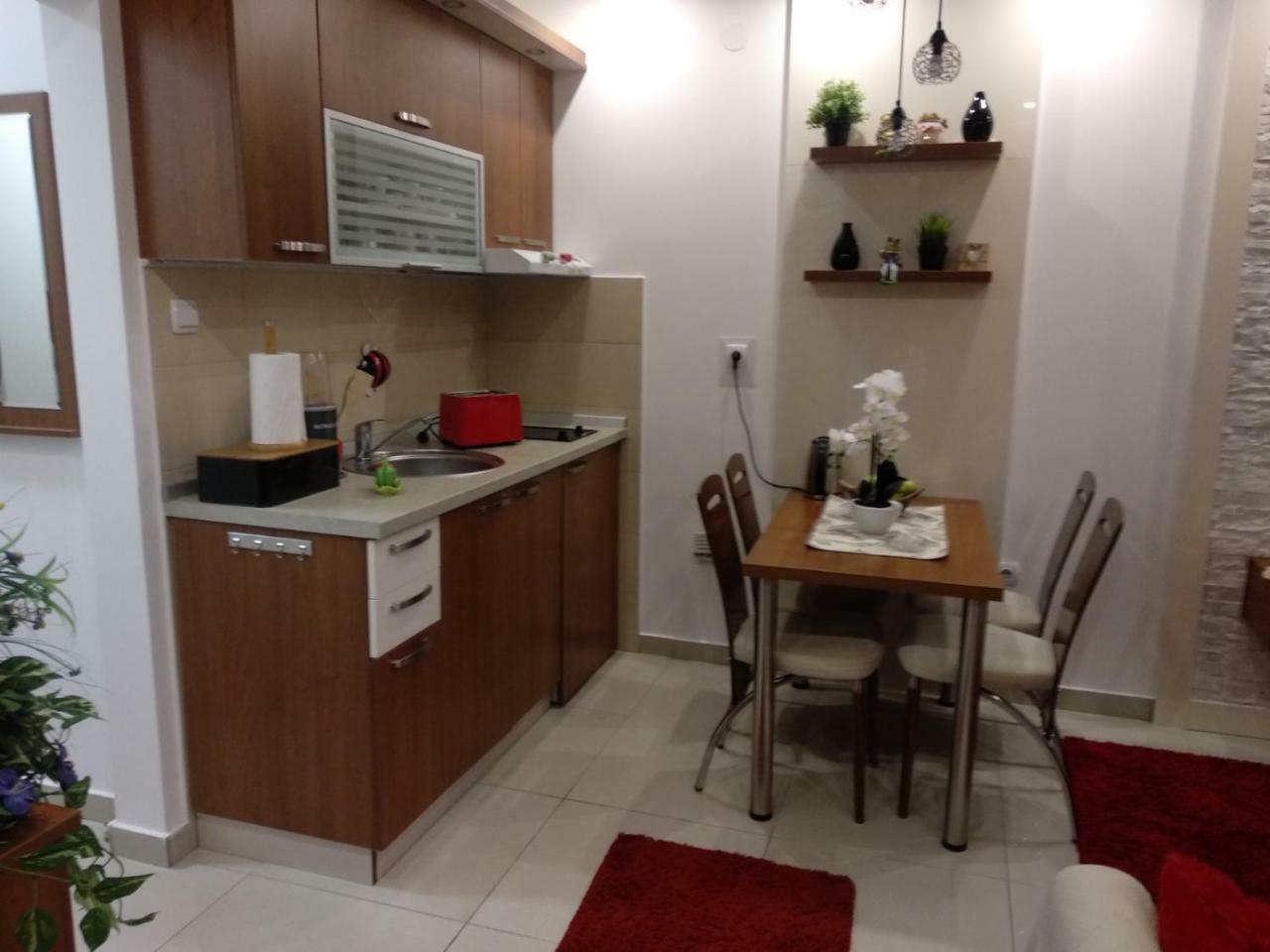 Vesna Apartman Врнячка-Баня Экстерьер фото